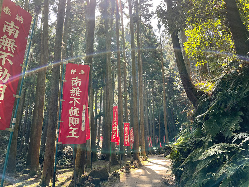 飯盛山歴史山歩の写真