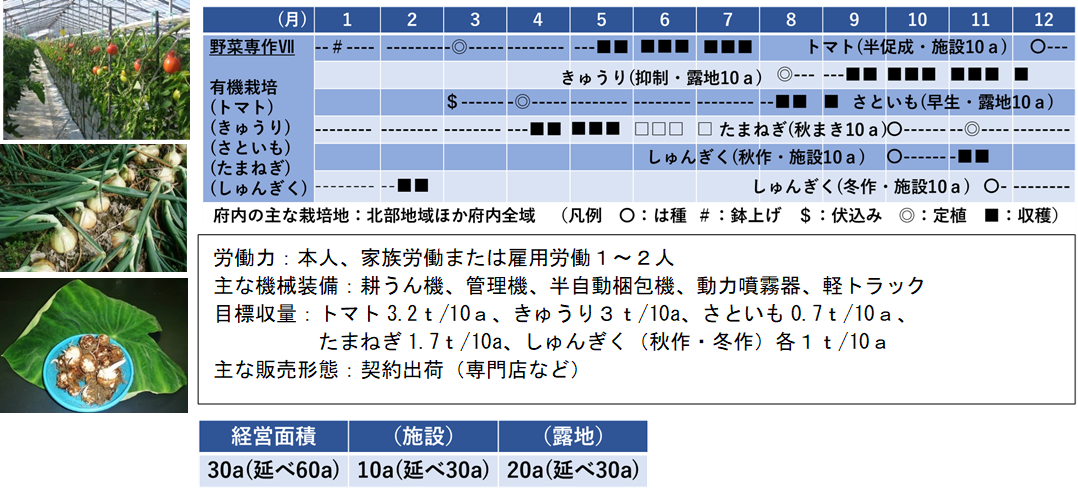 7野菜