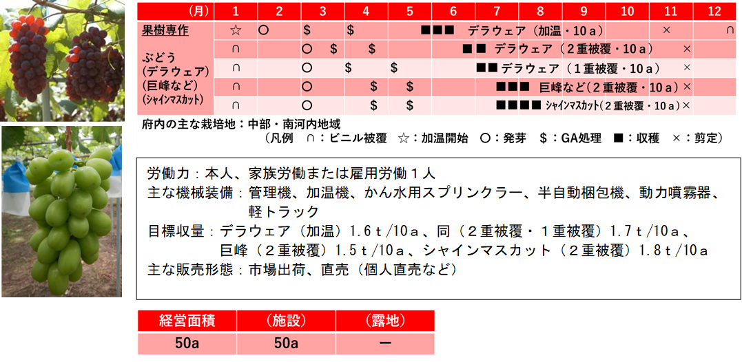 8果樹