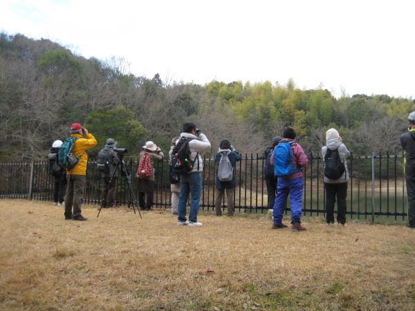 冬の野鳥観察会