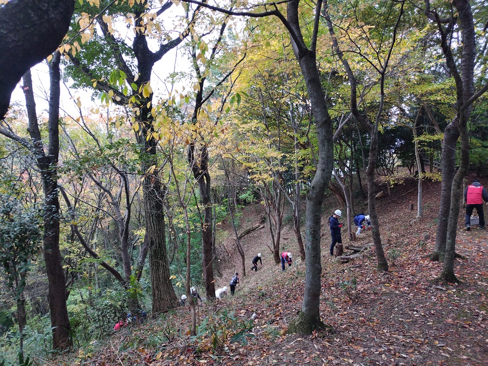 活動地の森の様子その2