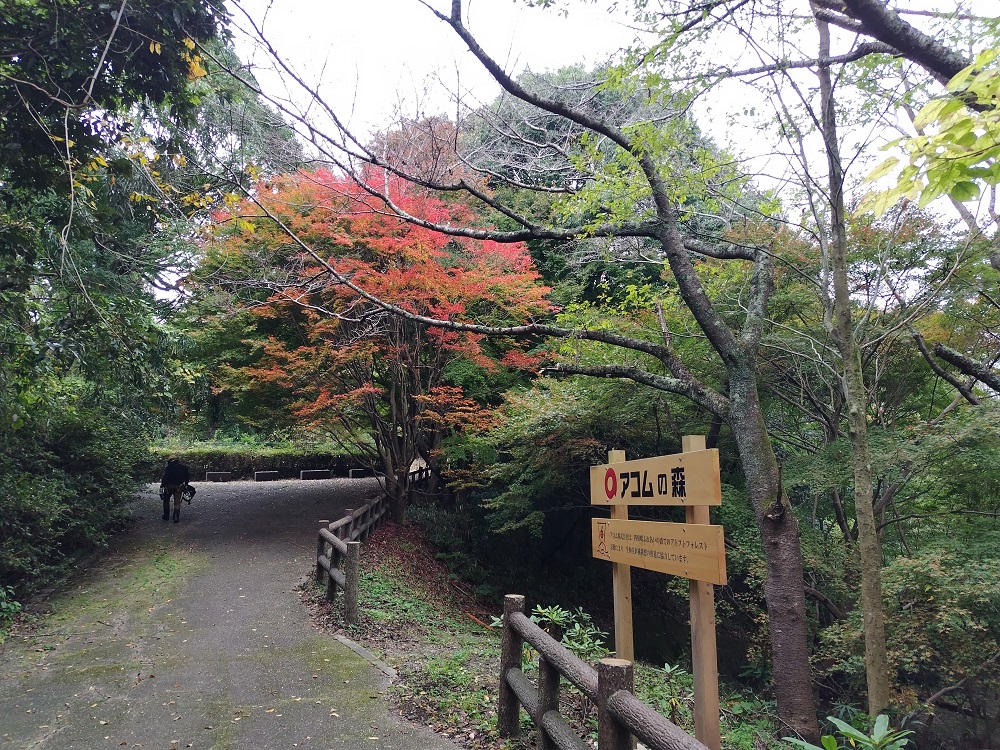 活動地入口付近の画像