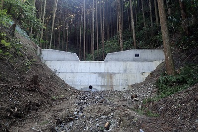 千早赤阪村東阪地区のコンクリート製治山ダム