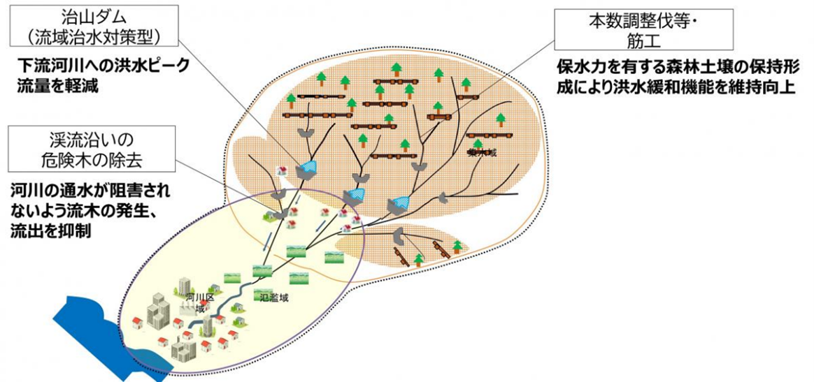 集水域（森林区域）における流域治水対策のイメージ図