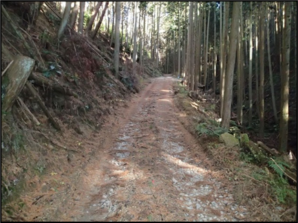 舗装前の作業道