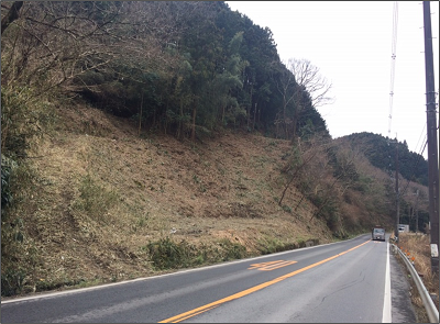 主要道路沿いにおける倒木対策後