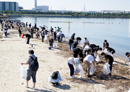 海辺で清掃活動を行う様子