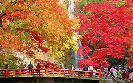 箕面公園の写真