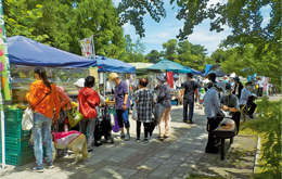 久宝寺こうえんマルシェのイメージ写真