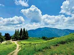 大和葛城山から金剛山方面を望む山並みの風景